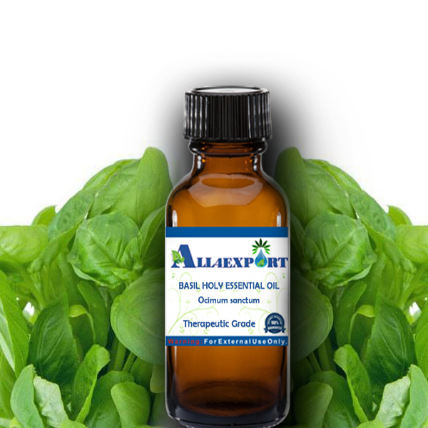 BASIL HOLY ESSENTIAL OIL